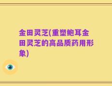 金田灵芝(重塑鲍耳金田灵芝的高品质药用形象)