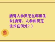 鹿茸人参灵芝在哪里生长(鹿茸、人参和灵芝生长在何处？)