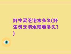 野生灵芝泡水多久(野生灵芝泡水需要多久？)