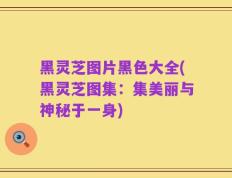 黑灵芝图片黑色大全(黑灵芝图集：集美丽与神秘于一身)