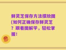 鲜灵芝保存方法摆放图(如何正确保存鲜灵芝？跟着图解学，轻松掌握！