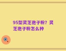 95型灵芝孢子粉？灵芝孢子粉怎么种