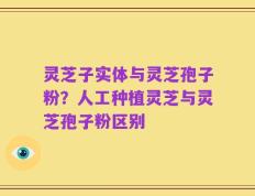 灵芝子实体与灵芝孢子粉？人工种植灵芝与灵芝孢子粉区别