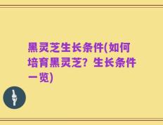 黑灵芝生长条件(如何培育黑灵芝？生长条件一览)