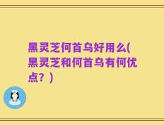 黑灵芝何首乌好用么(黑灵芝和何首乌有何优点？)