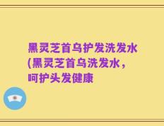 黑灵芝首乌护发洗发水(黑灵芝首乌洗发水，呵护头发健康