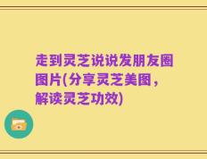走到灵芝说说发朋友圈图片(分享灵芝美图，解读灵芝功效)