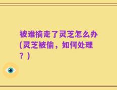 被谁摘走了灵芝怎么办(灵芝被偷，如何处理？)