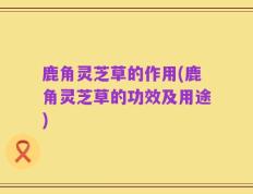 鹿角灵芝草的作用(鹿角灵芝草的功效及用途)