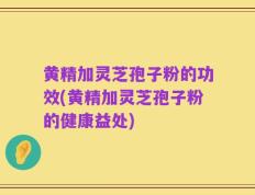 黄精加灵芝孢子粉的功效(黄精加灵芝孢子粉的健康益处)