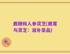 鹿鞭和人参灵芝(鹿茸与灵芝：滋补圣品)