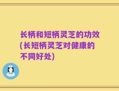 长柄和短柄灵芝的功效(长短柄灵芝对健康的不同好处)