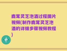鹿茸灵芝泡酒过程图片视频(制作鹿茸灵芝泡酒的详细步骤视频教程)