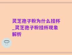灵芝孢子粉为什么挂杯_灵芝孢子粉挂杯现象解析