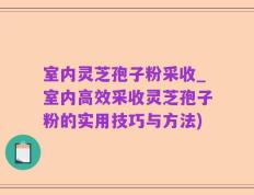 室内灵芝孢子粉采收_室内高效采收灵芝孢子粉的实用技巧与方法)