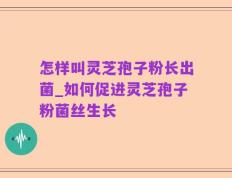 怎样叫灵芝孢子粉长出菌_如何促进灵芝孢子粉菌丝生长