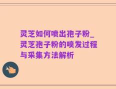 灵芝如何喷出孢子粉_灵芝孢子粉的喷发过程与采集方法解析