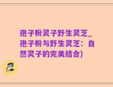 孢子粉灵子野生灵芝_孢子粉与野生灵芝：自然灵子的完美结合)