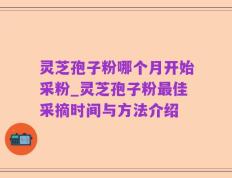 灵芝孢子粉哪个月开始采粉_灵芝孢子粉最佳采摘时间与方法介绍