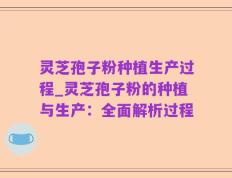 灵芝孢子粉种植生产过程_灵芝孢子粉的种植与生产：全面解析过程