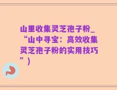 山里收集灵芝孢子粉_“山中寻宝：高效收集灵芝孢子粉的实用技巧”)