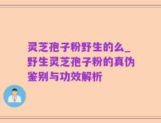 灵芝孢子粉野生的么_野生灵芝孢子粉的真伪鉴别与功效解析