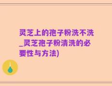 灵芝上的孢子粉洗不洗_灵芝孢子粉清洗的必要性与方法)