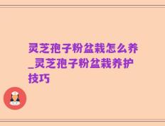灵芝孢子粉盆栽怎么养_灵芝孢子粉盆栽养护技巧