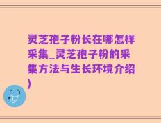 灵芝孢子粉长在哪怎样采集_灵芝孢子粉的采集方法与生长环境介绍)