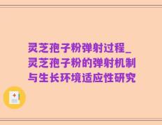 灵芝孢子粉弹射过程_灵芝孢子粉的弹射机制与生长环境适应性研究