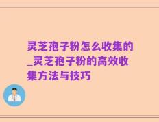 灵芝孢子粉怎么收集的_灵芝孢子粉的高效收集方法与技巧