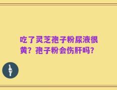 吃了灵芝孢子粉尿液很黄？孢子粉会伤肝吗？