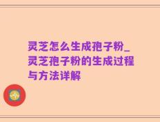 灵芝怎么生成孢子粉_灵芝孢子粉的生成过程与方法详解