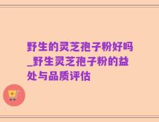 野生的灵芝孢子粉好吗_野生灵芝孢子粉的益处与品质评估