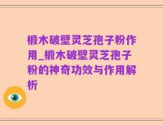 椴木破壁灵芝孢子粉作用_椴木破壁灵芝孢子粉的神奇功效与作用解析