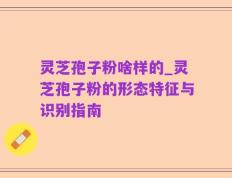 灵芝孢子粉啥样的_灵芝孢子粉的形态特征与识别指南