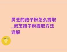 灵芝的孢子粉怎么提取_灵芝孢子粉提取方法详解