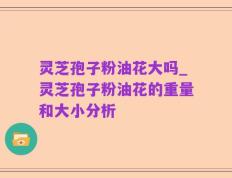 灵芝孢子粉油花大吗_灵芝孢子粉油花的重量和大小分析