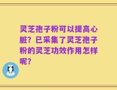 灵芝孢子粉可以提高心脏？已采集了灵芝孢子粉的灵芝功效作用怎样呢？