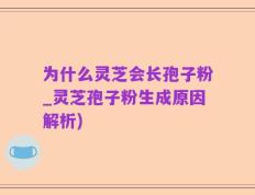 为什么灵芝会长孢子粉_灵芝孢子粉生成原因解析)