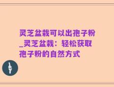 灵芝盆栽可以出孢子粉_灵芝盆栽：轻松获取孢子粉的自然方式