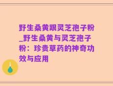 野生桑黄跟灵芝孢子粉_野生桑黄与灵芝孢子粉：珍贵草药的神奇功效与应用