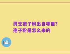 灵芝孢子粉出自哪里？孢子粉是怎么来的