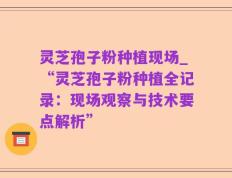 灵芝孢子粉种植现场_“灵芝孢子粉种植全记录：现场观察与技术要点解析”