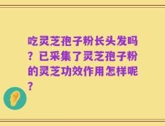 吃灵芝孢子粉长头发吗？已采集了灵芝孢子粉的灵芝功效作用怎样呢？