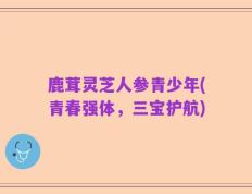鹿茸灵芝人参青少年(青春强体，三宝护航)