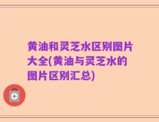 黄油和灵芝水区别图片大全(黄油与灵芝水的图片区别汇总)