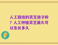 人工栽培的灵芝孢子粉？人工种植灵芝最久可以生长多久
