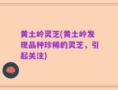 黄土岭灵芝(黄土岭发现品种珍稀的灵芝，引起关注)