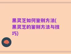 黑灵芝如何鉴别方法(黑灵芝的鉴别方法与技巧)